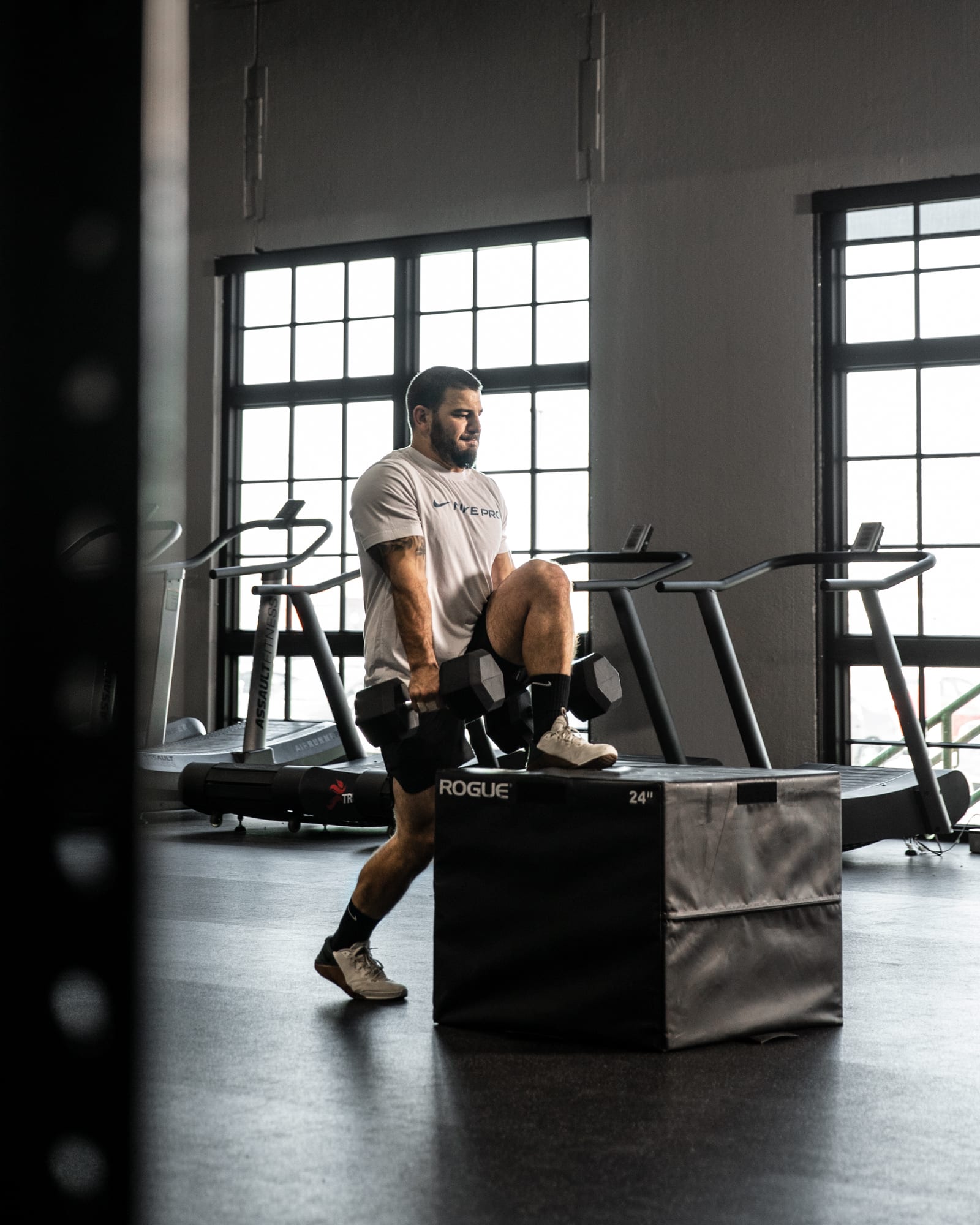Dumbbell 22.5 kg rogue deals